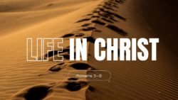 Free In Christ