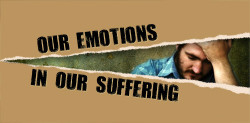 Our Emotions in Our Suffering