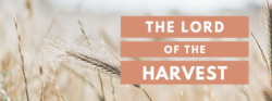The Lord Of The Harvest